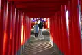 日吉神社の写真_56926