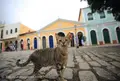 サン・ルイスの写真_57566