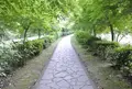 武雄神社（武雄五社大明神）の写真_58161