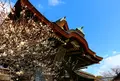 北野白梅町駅の写真_65510