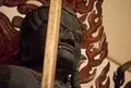 大覚寺の写真_66599