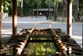 熱田神宮の写真_68421