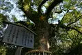 熱田神宮の写真_68423