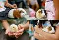 こども自然公園の写真_73381