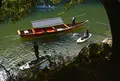 颯浮〜KYOTO SUP TRIP〜の写真_74126