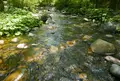 木曽川水園の写真_75066