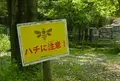 木曽川水園の写真_75074