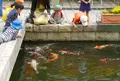 オアシスパークの写真_75083