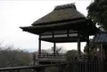 石山寺の写真_79527