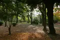 鶴舞公園の写真_79963