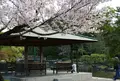 鶴舞公園の写真_79970