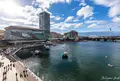 Darling Harbour（ダーリングハーバー）の写真_1035413
