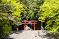 霧島神宮の写真_1071767