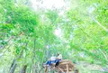 美山町観光協会の写真_1079778