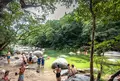 モスマン・ゴージの写真_1146495