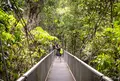 Mossman River Lookoutの写真_1146497