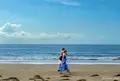 Palm Cove Beachの写真_1146506