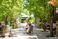 Golding Winesの写真_1183337
