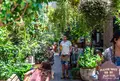 The Potting Shedの写真_1227514
