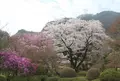 札所二十九番の写真_130172