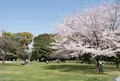 清澄庭園の写真_132212