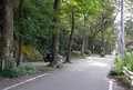 旧リバーサイド道路の写真_132451