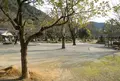 岐阜公園の写真_132460