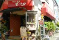 モリタの写真_132909