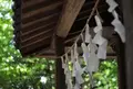 八坂神社の写真_137260