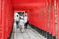 三光稲荷神社の写真_140690