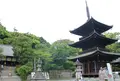 石手寺の写真_142786