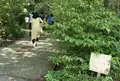 越前焼 土本工房の写真_146618