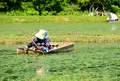 三種町の写真_1543358
