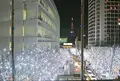 六本木けやき坂通りの写真_157417