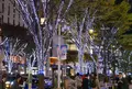 大津通の写真_158138