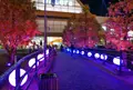 モレラ岐阜の写真_158217