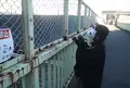 紅葉坂橋の写真_158358