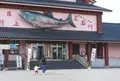 イヨボヤ会館の写真_158490