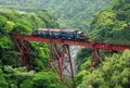 トロッコ列車ゆうすげ号の写真_159796