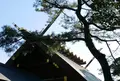 熱田神宮の写真_171393