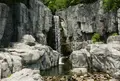 木曽川水園の写真_177093