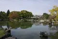 鶴舞公園の写真_181722