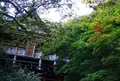 清水寺の写真_184040