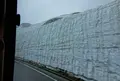 雪の大谷の写真_184306