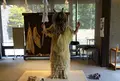 なまはげ館の写真_190597