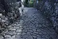 金城町石畳道の写真_196975