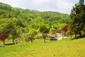上砂川岳日本庭園の写真_217594