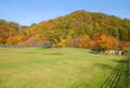 奥沢パークゴルフ場の写真_217597
