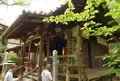 浄瑠璃寺の写真_236924