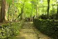 高山寺の写真_239206